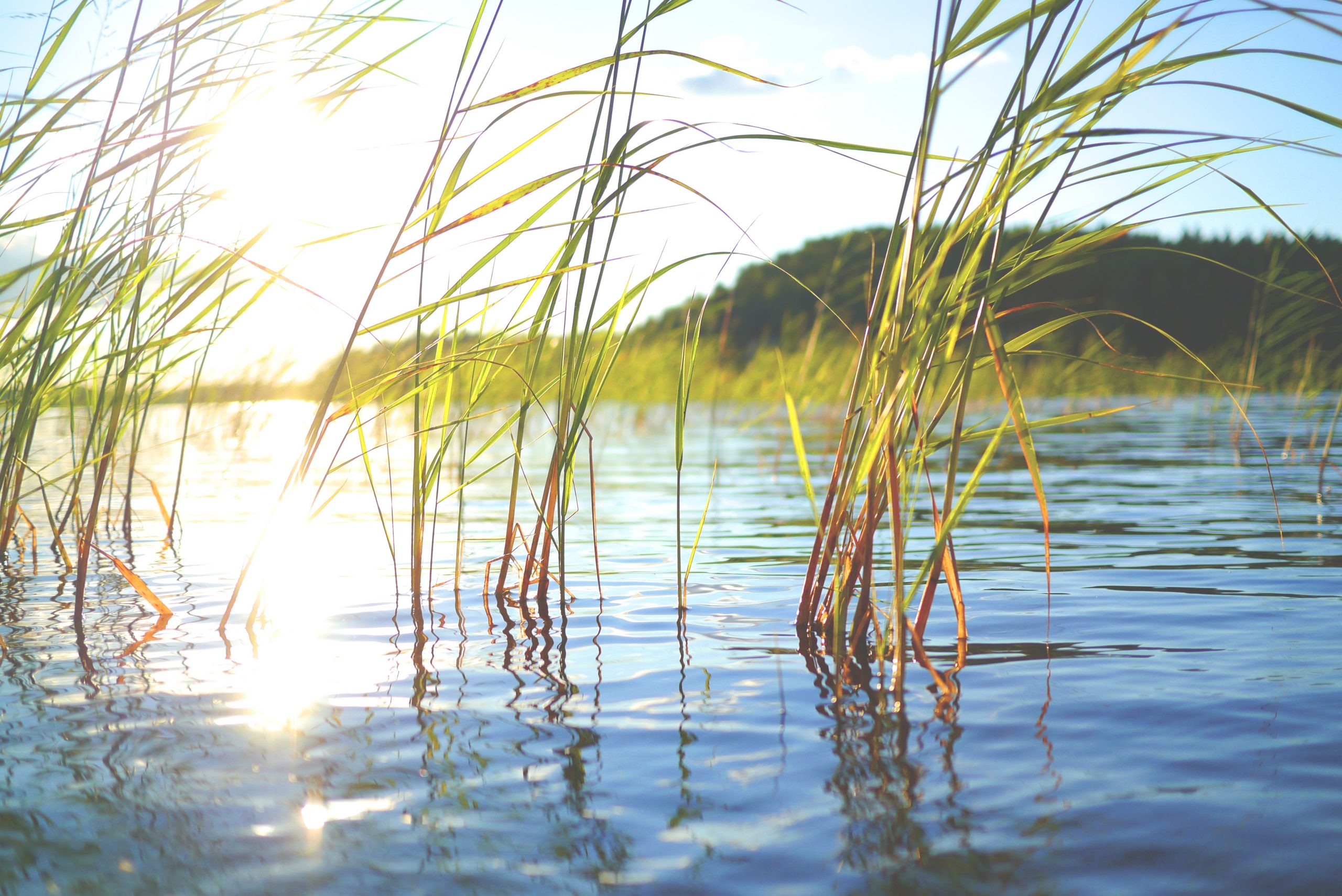lake-896191